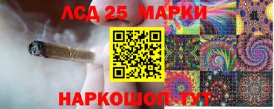 прущие грибы Пушкино