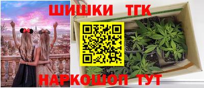 дживик Партизанск