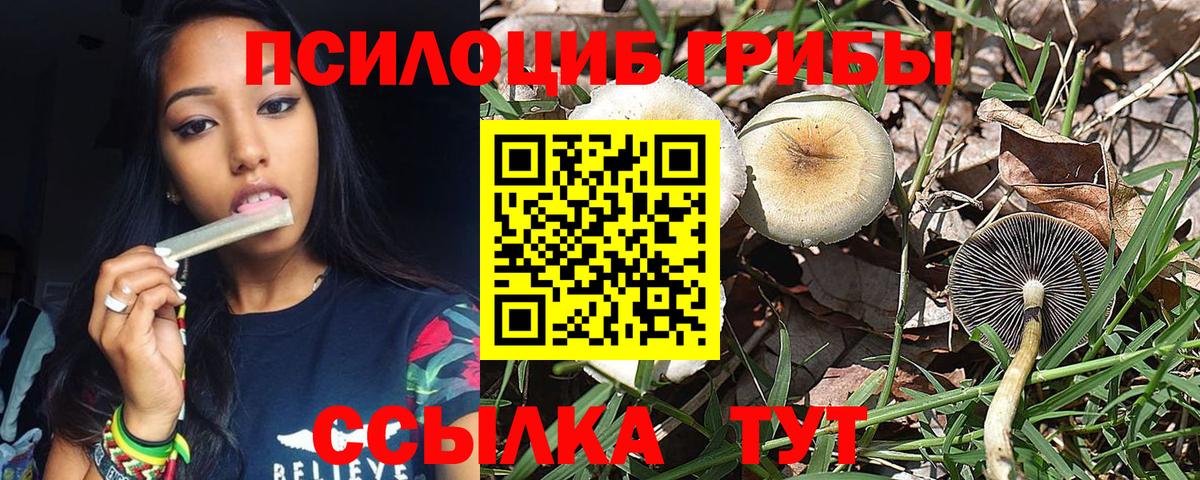 Тобольск  Галлюциногенные грибы MAGIC MUSHROOMS  наркотики  Вход с VPN 