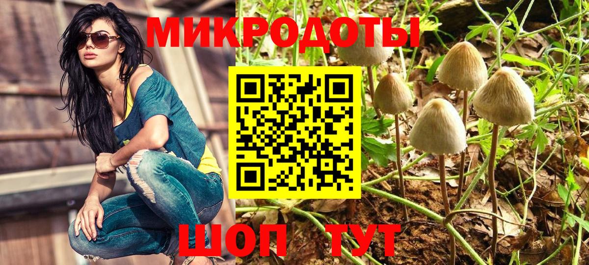Галлюциногенные грибы Psilocybe Тобольск